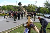 (12) 2019-04-30 Maibaum Therme