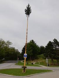 (15) 2019-04-30 Maibaum Therme