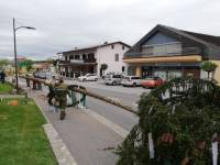 (1) 2019-04-30_Maibaum Loipersdorf