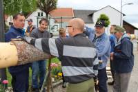 (4) 2019-04-30_Maibaum Loipersdorf